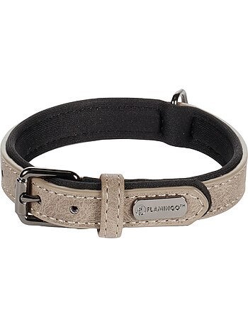 Collier pour chien avec doublure néoprène