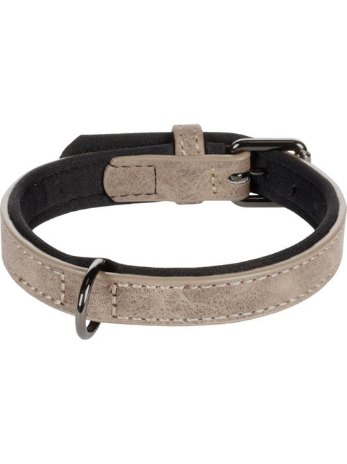 Collier pour chien avec doublure néoprène - Kiabi