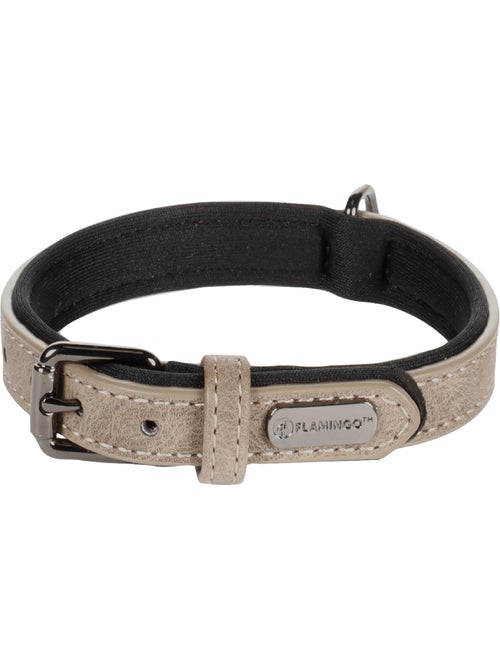 Collier pour chien avec doublure néoprène - Kiabi