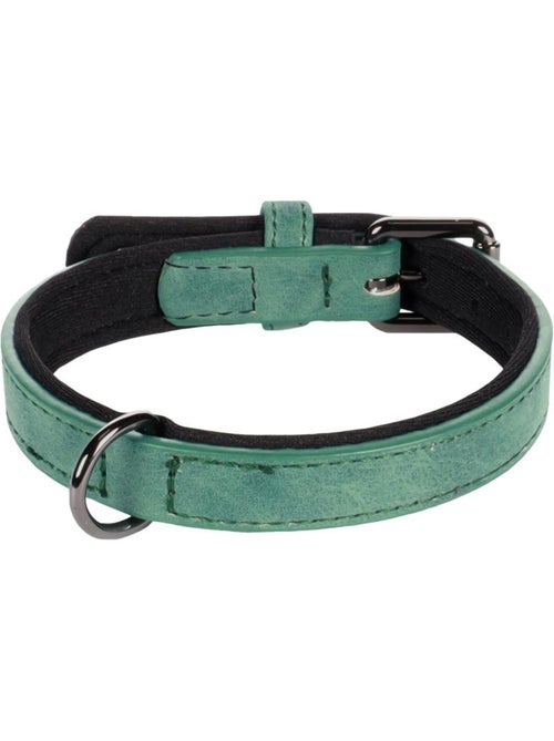 Collier pour chien avec doublure néoprène - Kiabi