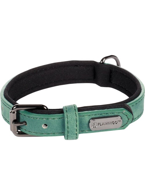 Collier pour chien avec doublure néoprène - Kiabi