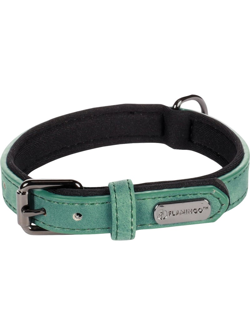 Collier pour chien avec doublure néoprène Vert - Kiabi