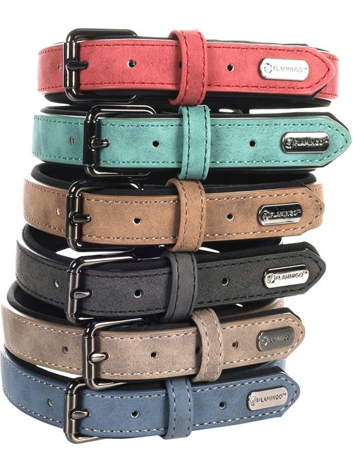 Collier pour chien avec doublure néoprène - Kiabi