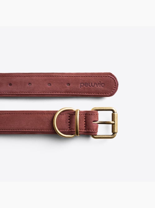 Collier pour chien en cuir PELUVIO Rexor - Réglable - Kiabi