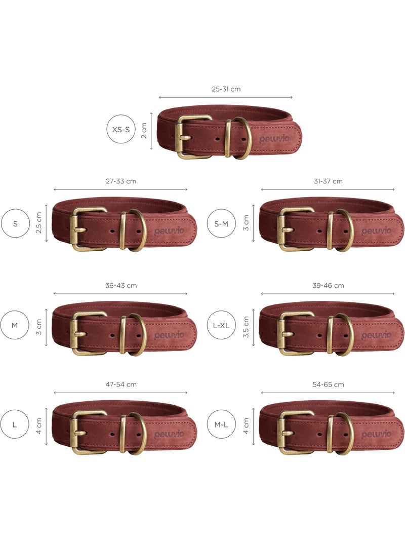 Collier pour chien en cuir PELUVIO Rexor - Réglable Marron - Kiabi