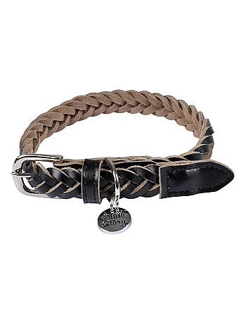 Collier pour chien en cuir tressé