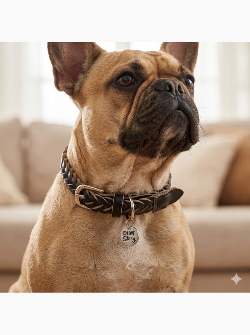 Collier pour chien en cuir tressé noir Noir - Kiabi