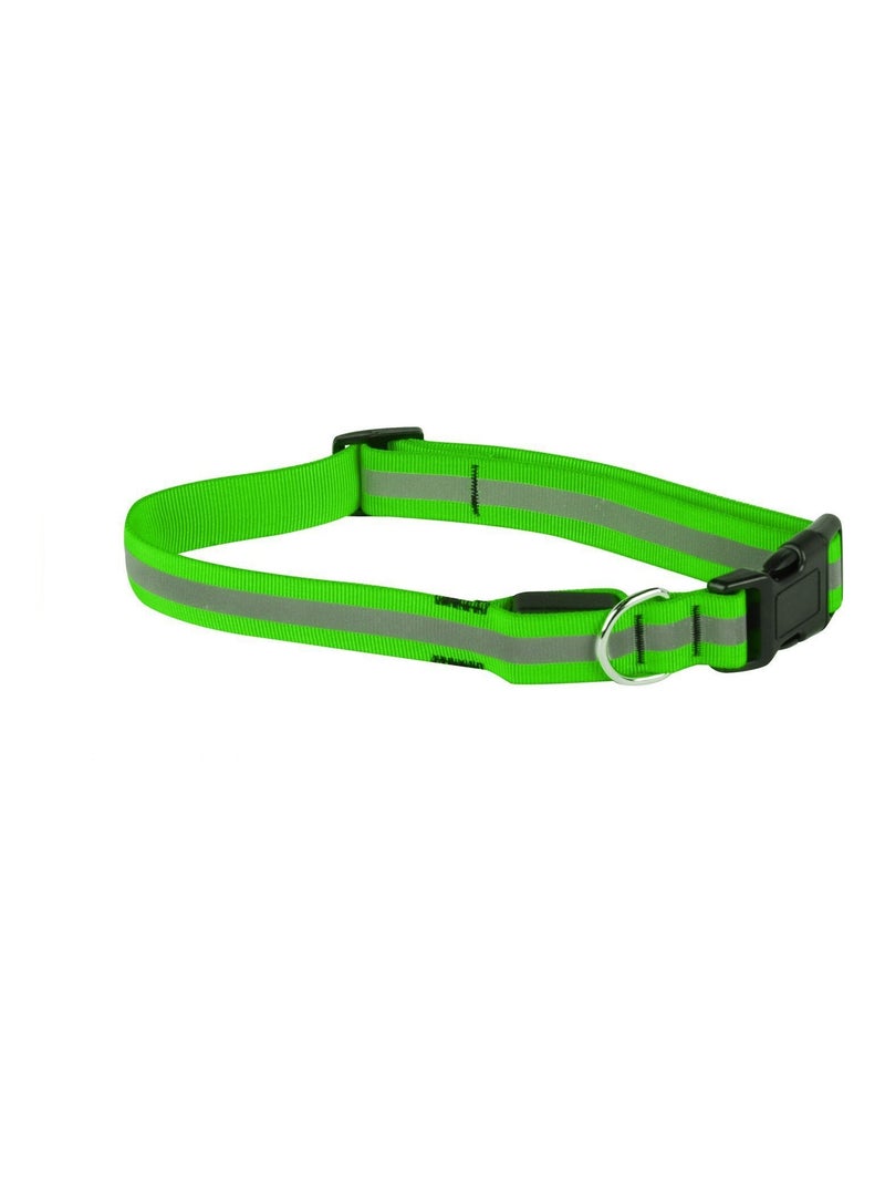 Collier pour chien réfléchissant Vert - Kiabi