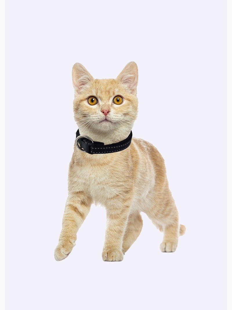 Collier réfléchissant pour animaux - AFIBEL Noir - Kiabi