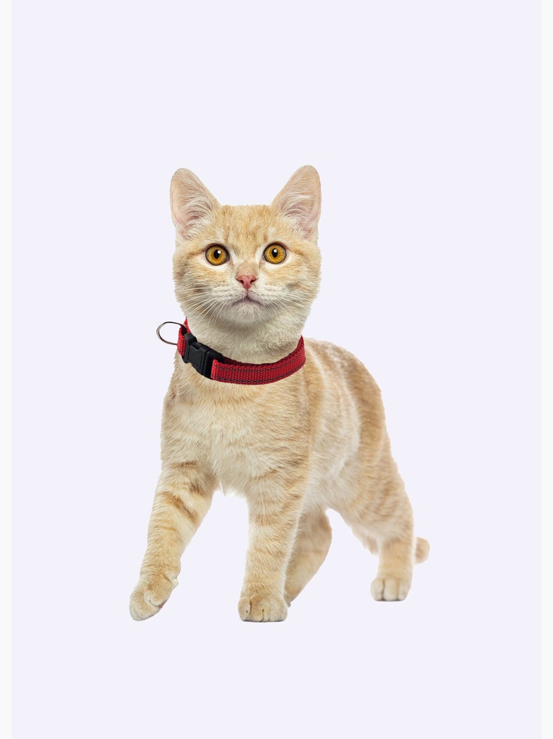 Collier réfléchissant pour animaux - AFIBEL Rouge - Kiabi