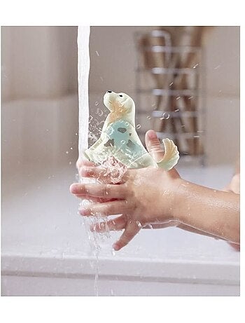 Color - Salon de toilettage