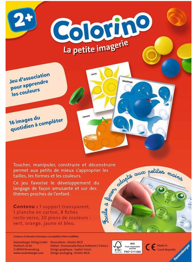 Colorino : La petite imagerie Vert - Kiabi