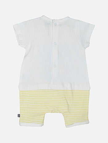 COMBICOURT GIBBON NAISSANCE