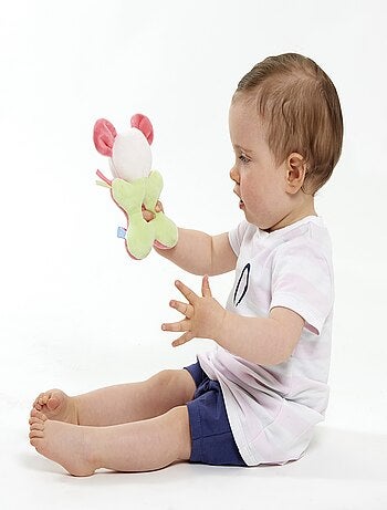 COMBICOURT RAYE ROSE