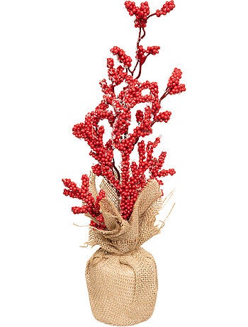 COMPO BAIES RGE BASE JUTE H38