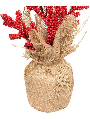 COMPO BAIES RGE BASE JUTE H38