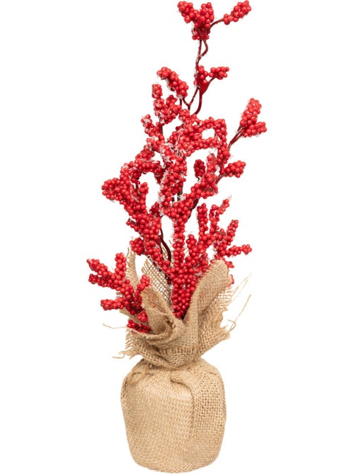 COMPO BAIES RGE BASE JUTE H38 - Kiabi