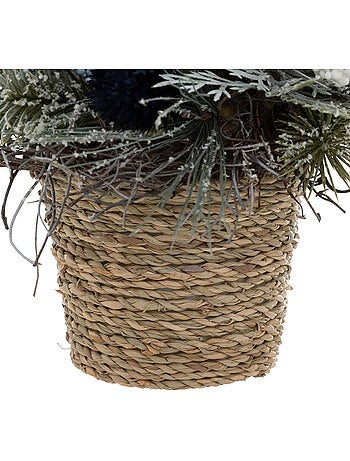 COMPO POT BLEU H19CM