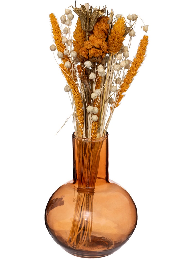 Composition de fleurs séchées SUBLI Transparent - Kiabi