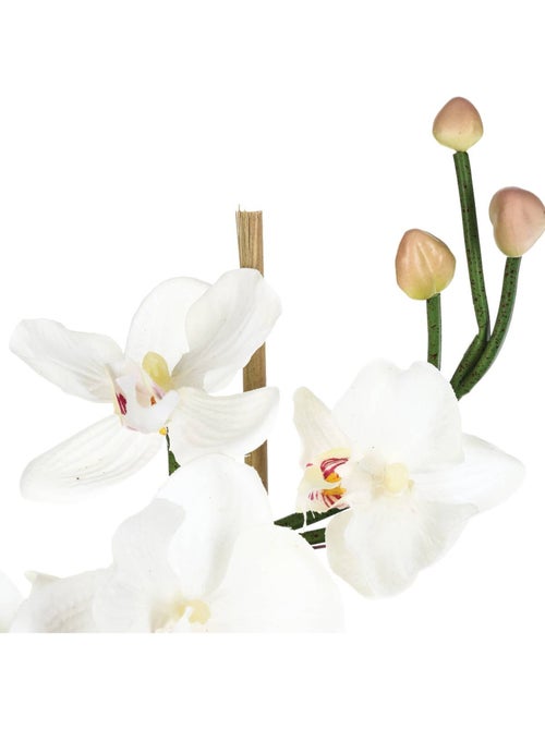 Composition d'orchidées artificielles ORCHIDEE - Kiabi