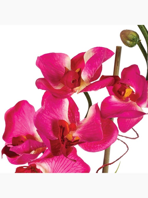 Composition d'orchidées artificielles ORCHIDEE - Kiabi