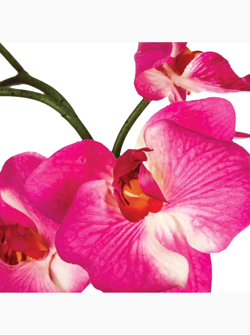 Composition d'orchidées artificielles ORCHIDEE Blanc - Kiabi