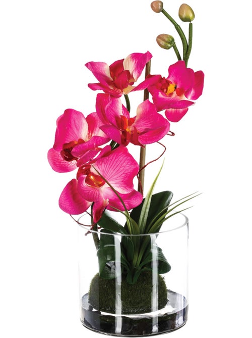 Composition d'orchidées artificielles ORCHIDEE - Kiabi