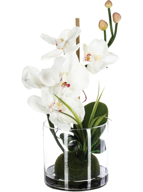 Composition d'orchidées artificielles ORCHIDEE - Kiabi
