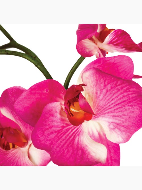 Composition d'orchidées artificielles ORCHIDEE - Kiabi
