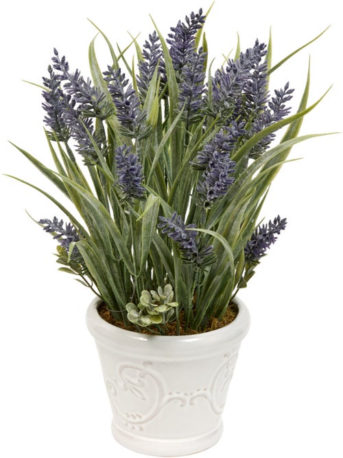 Composition florale artificielle Lavande 35cm PROV - Kiabi