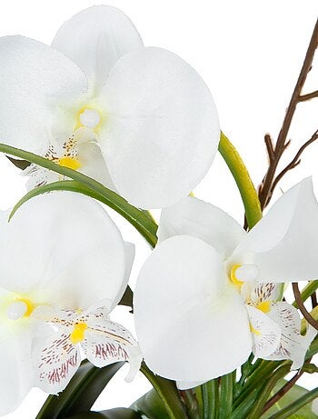 Composition florale vase blanc - Hauteur 44 cm - Orchidée