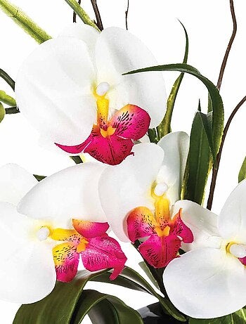 Composition florale vase blanc - Hauteur 44 cm - Orchidée