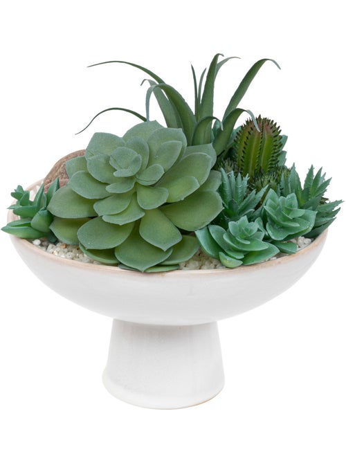 Composition plantes grasses artificielles SOLEYA - Kiabi