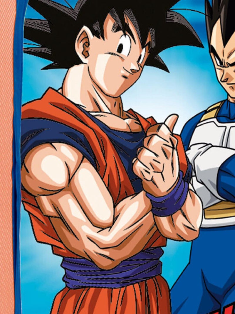Conteneur de rangement pliable - Dragon Ball Z - 36x36x58 cm Orange - Kiabi