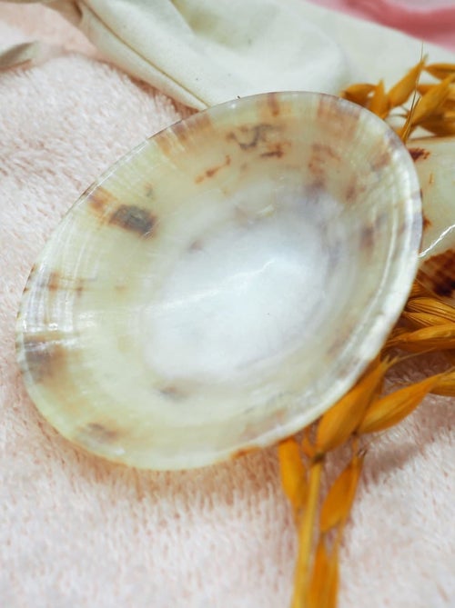 Coquillages d'allaitement - Lot de 2 - Kiabi