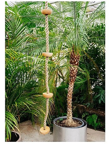 Corde à grimper avec marches en bois
