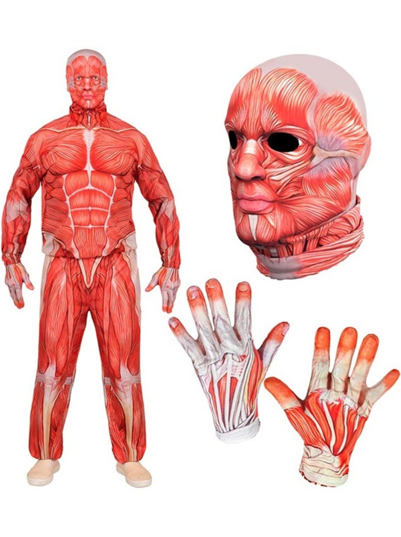 Costume anatomique express avec muscles Multicolore - Kiabi