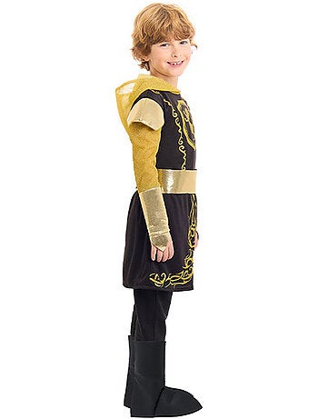Costume de chevalier