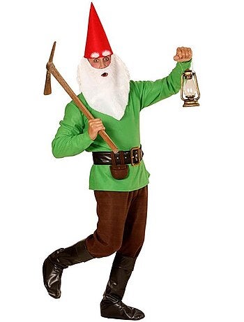Costume de gnome