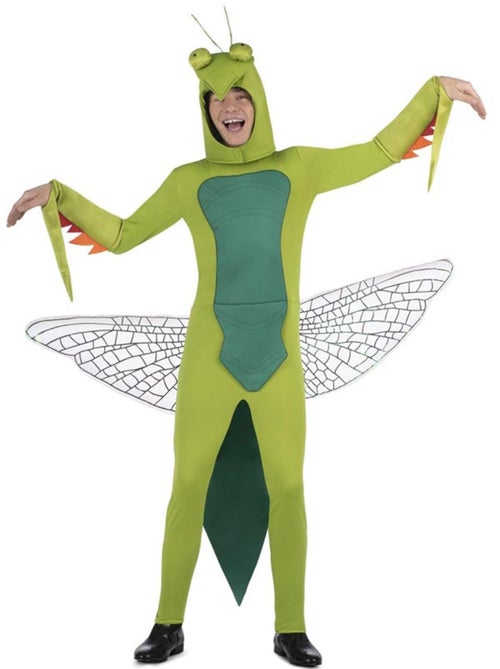Costume de mante religieuse avec capuche et ailes - Kiabi