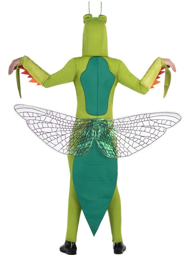 Costume de mante religieuse avec capuche et ailes Multicolore - Kiabi