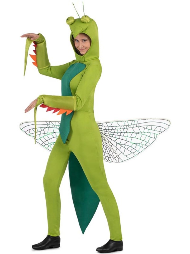 Costume de mante religieuse avec capuche et ailes Multicolore - Kiabi