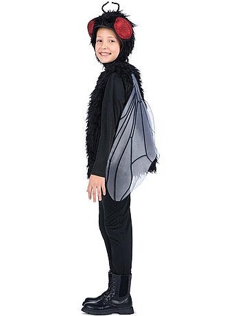 Costume de mouche avec chapeau et ailes