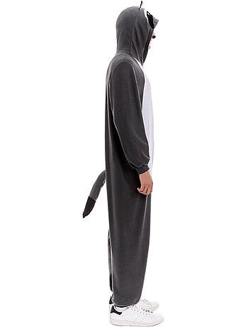 Costume de raton laveur