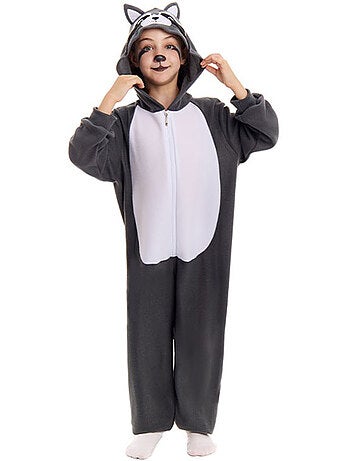 Costume de raton laveur