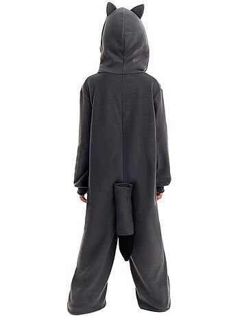 Costume de raton laveur