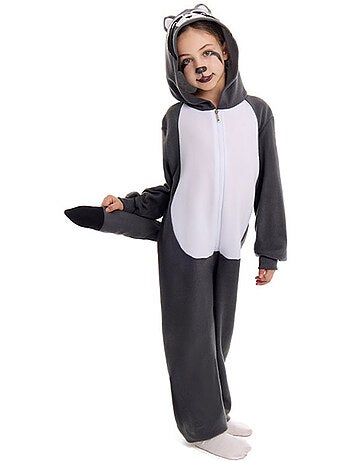Costume de raton laveur