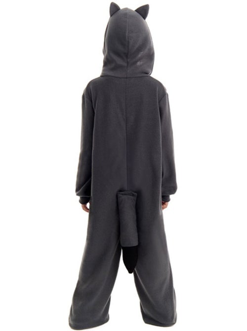 Costume de raton laveur - Kiabi