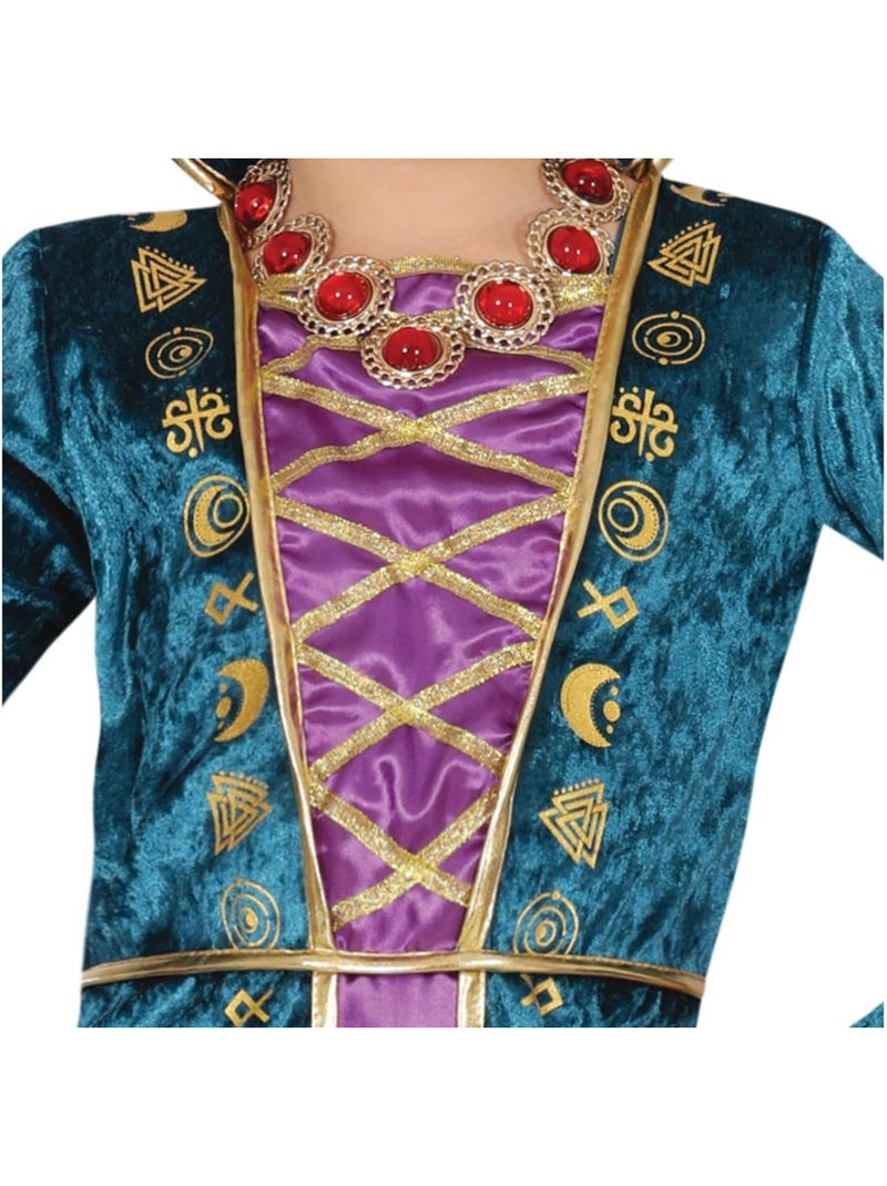 Costume de sorcière de Winifred Sanderson Multicolore - Kiabi