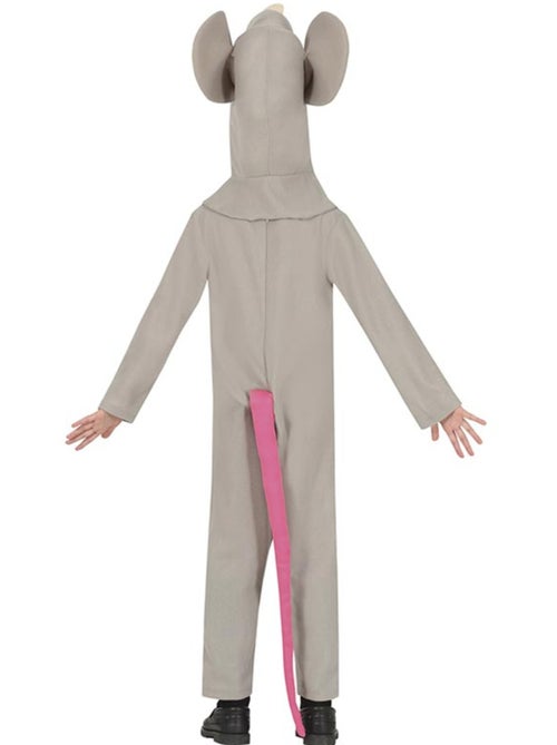 Costume de souris avec chapeau - Kiabi